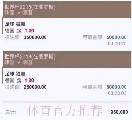 世界杯投注平台精选与入口指南