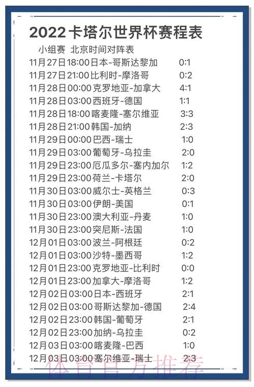 世界杯赛事全景解读与数据报道